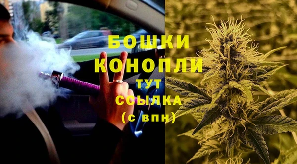 ГАЛЛЮЦИНОГЕННЫЕ ГРИБЫ Нягань